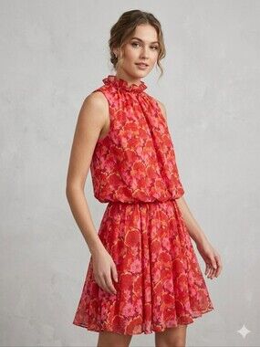 Jonathan Kayne Retro Floral Chiffon Mock Neck Ruffle Blouson Dress Pink Size 2